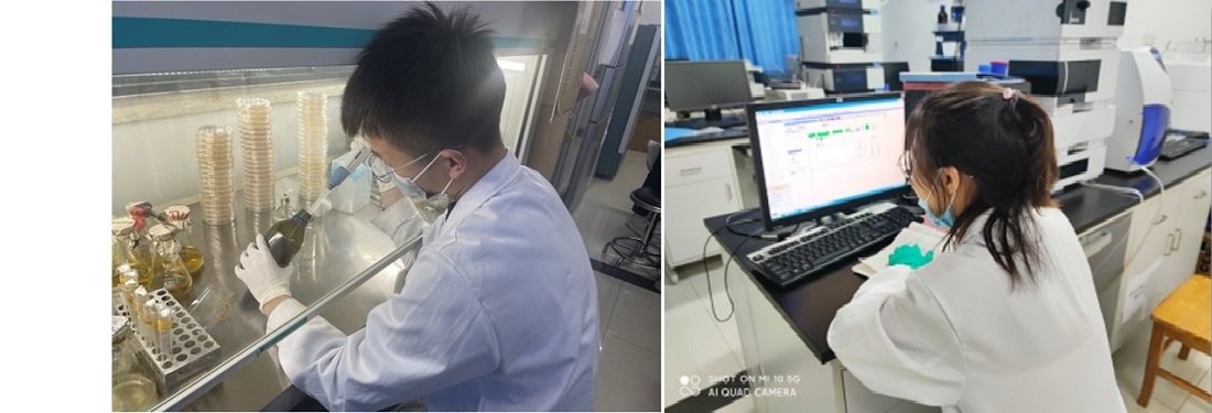 企业简介1.jpg